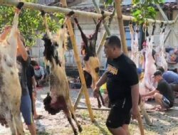 Jamaah Masjid At Taqwa Rowosari Kendal Antusias Berkurban, Sembelih 22 Sapi dan 15 Ekor Kambing