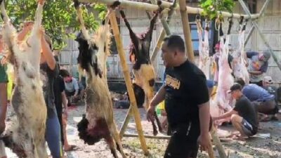 Jamaah Masjid At Taqwa Rowosari Kendal Antusias Berkurban, Sembelih 22 Sapi dan 15 Ekor Kambing