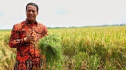 Bersiap Hadapi Musim Kemarau 2026, Kementan Perkuat Penerapan Teknologi Pertanian Adaptif