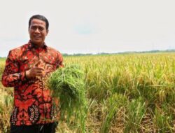 Bersiap Hadapi Musim Kemarau 2026, Kementan Perkuat Penerapan Teknologi Pertanian Adaptif