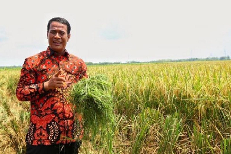Bersiap Hadapi Musim Kemarau 2026, Kementan Perkuat Penerapan Teknologi Pertanian Adaptif