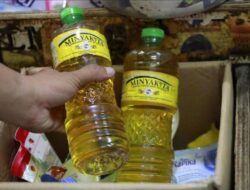 Mendag Beberkan Tiga Faktor Usulan Kenaikan HET Minyakita