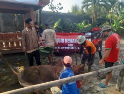Politisi PDIP Berkurban untuk Warga Blora, 450 Paket Daging Dibagikan