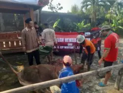 Politisi PDIP Berkurban untuk Warga Blora, 450 Paket Daging Dibagikan